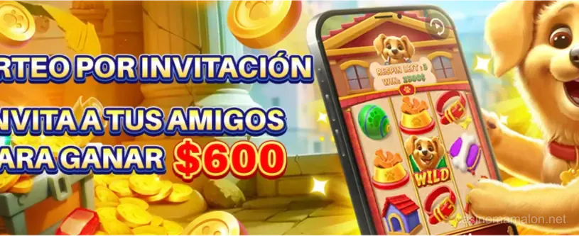 Torneo de slots en vivo